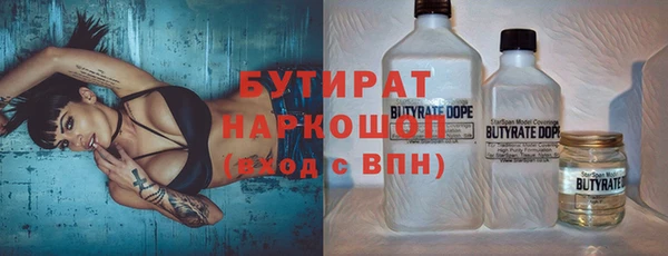 гидра Снежногорск