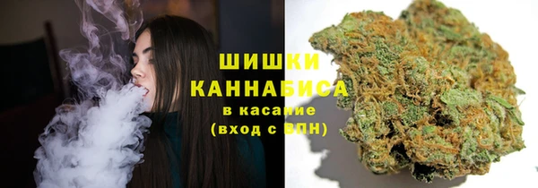 apvp Горнозаводск
