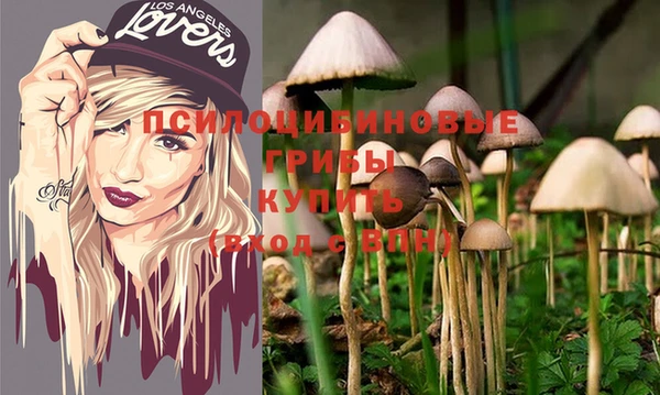 дмт Вязьма
