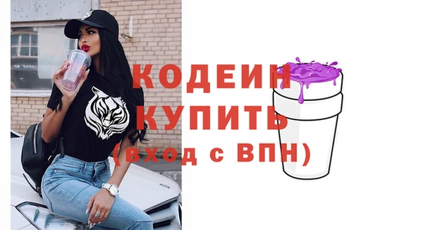 ешки Снежинск