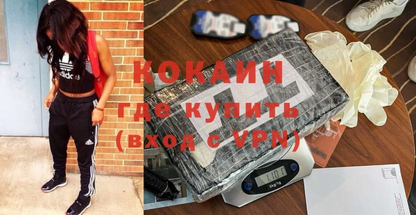 гидра Снежногорск