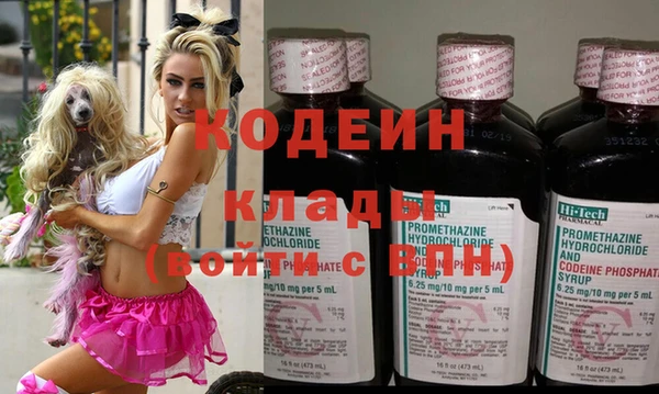 гидра Снежногорск
