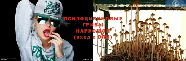 прущая мука Карталы