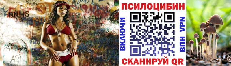 Галлюциногенные грибы MAGIC MUSHROOMS  Жердевка 